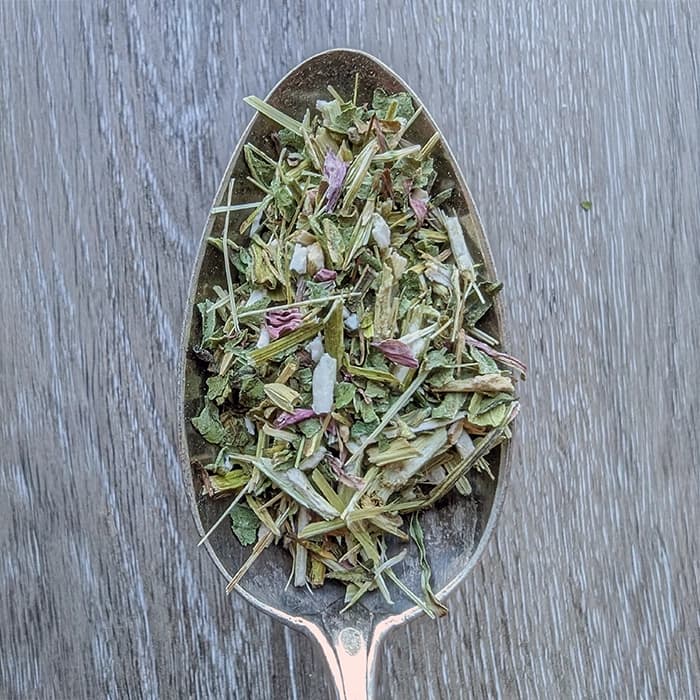 PURPUREA ECHINACEA — echinacee purpurea partie aerienne coupee sku1032