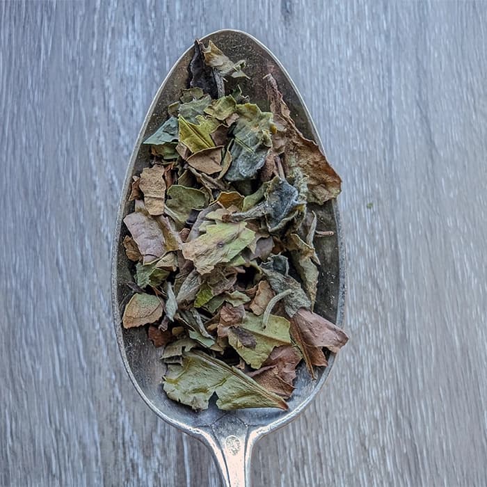 China Pai Mu Tan white tea — the blanc china pai mu tan sku1036