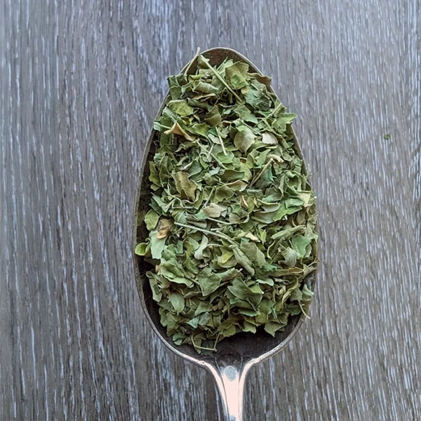 MORINGA-Blätter
