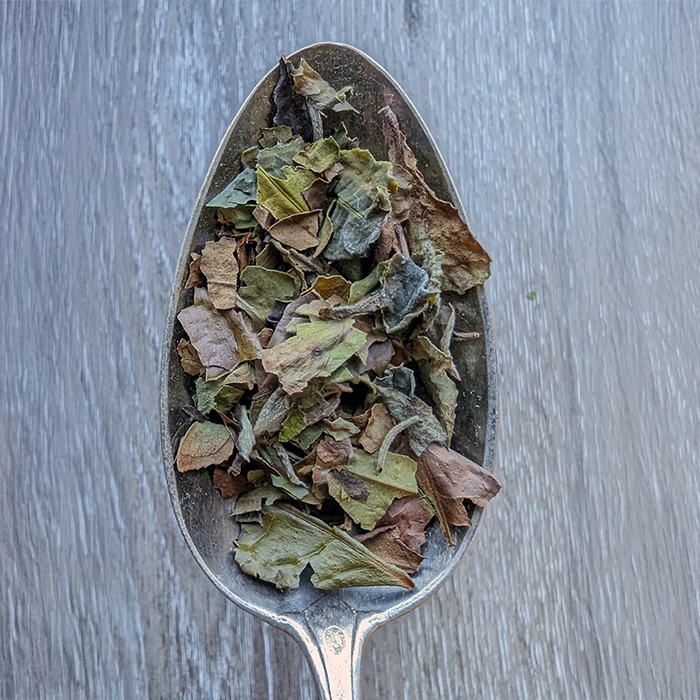 Thé blanc China pai mu tan