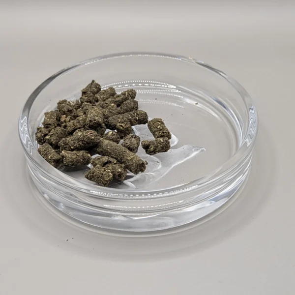 IVAN CHAI fermenté avec argousier en granules